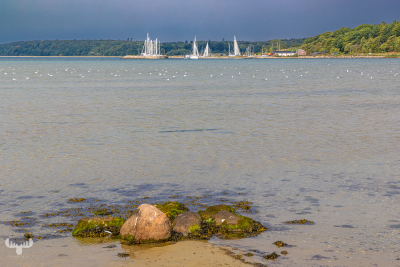 13745 - Sailing ships and water landscape