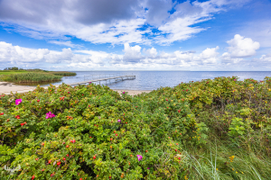 d070_3516