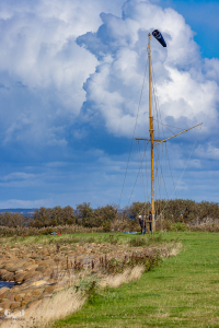 d070_3601