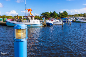 13378 - Bork Havn - harbor lantern and boats