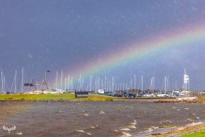 13424 - Rainbow and storm over Bork Havn