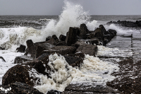 d072_2891