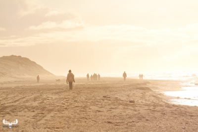 2474 - Foggy Nr.Lyngvig beach