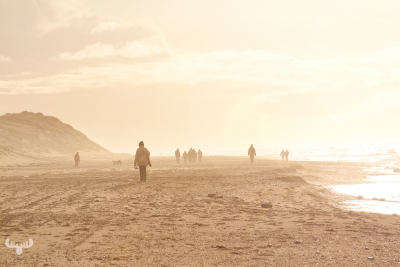 2474 - Foggy Nr.Lyngvig beach