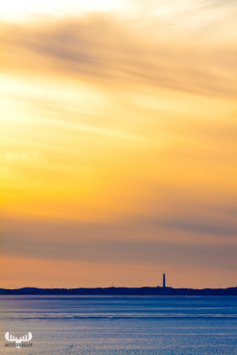 2505 - Ringkøbing Fjord Painting
