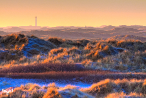 2492 - Nr.Lyngvig Fyr lighthouse in winter dune landscape