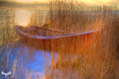 2504 - Winter boat in Ringkøbing Fjord
