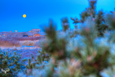 2516 - Cold moon in Søndervig