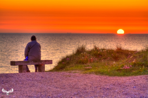 2783 - Bench guest looking at sunset over North Sea