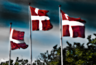 3836 - Dannebrog trio