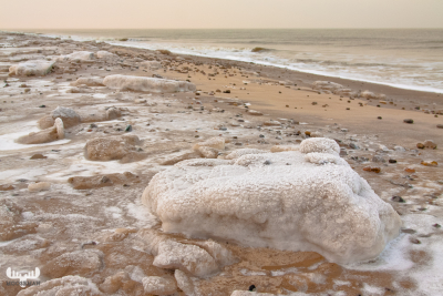 3116 - North sea winter ice floes