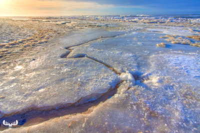 3135 - Frozen North Sea winter