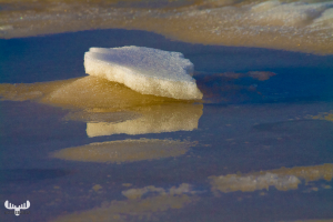 3137 - Ice floe at North Sea beach