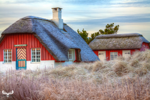 3191 - Vævestuen Summer cottage in winter