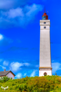 3926 - Blåvandshuk Fyr Lighthouse