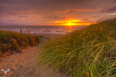 3966 - Søndervig North Sea sunset behind dunes