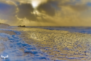 4729 - Dreamy North Sea beach