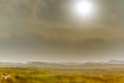 4795 - Dream of Holmsland Klit Range