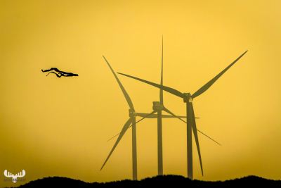 4806 - Wind Driven - threesome wind power plants