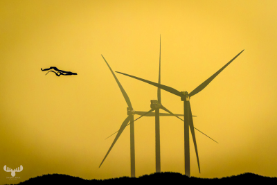 4806 - Wind Driven - threesome wind power plants
