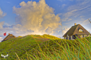 5430 - Summer cottages on dunes
