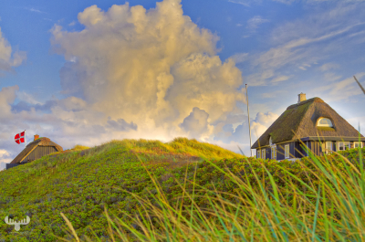 5430 - Summer cottages on dunes