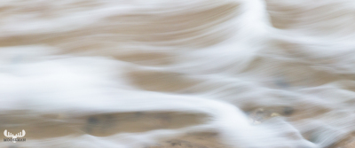 6300 - Wave motion art I