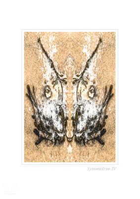 6345 - Symmetree IV - Beach objects art