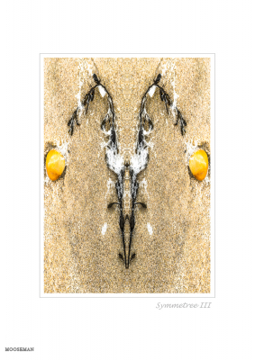 6348 - Symmetree III - Beach objects art