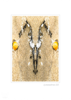 6348 - Symmetree III - Beach objects art