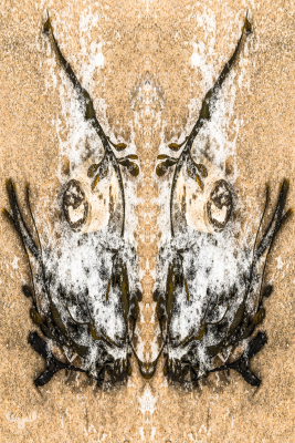 6351 - Symmetree 2 - Beach objects art