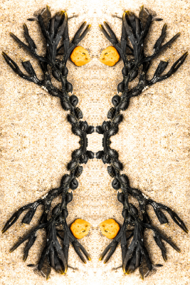 6354 - Symmetree 5 - Beach objects art