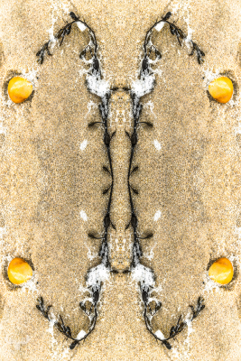 6359 - Symmetree 3 - Beach objects art