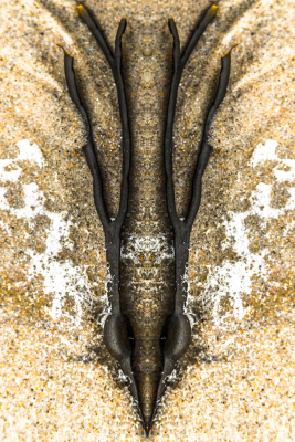 6360 - Symmetree 4 - Beach objects art