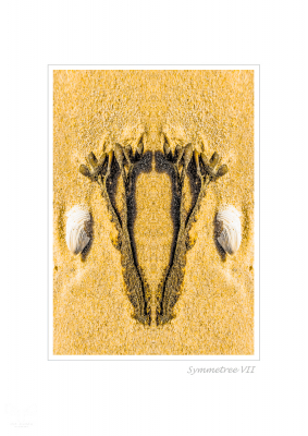 6444 - Symmetree VII - Beach objects art