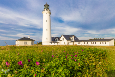 6678 - Hirtshals Fyr lighthouse and buildings