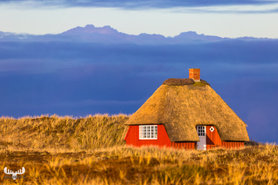 7886 - Sommerhus in dunes