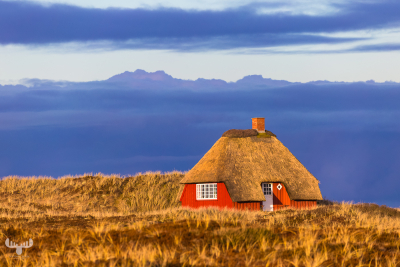 7887 - Red summer cottages in dunes
