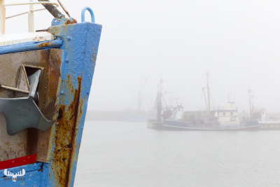 8951 - Hvide Sande havn - Misty harbor