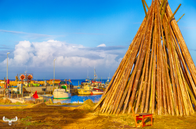 8988 - Tykserhavn fishing boats & fishings nets poles