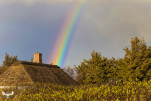9029 - Rainbow over Summer cottage