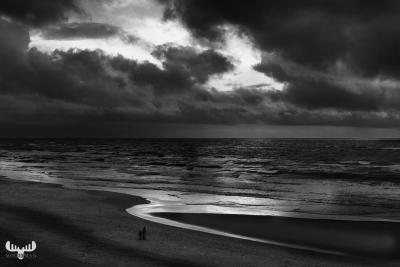 9033 - North Sea hook