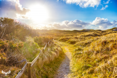 9053 - Dune way to beach