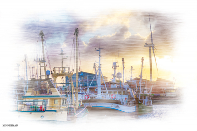 9399 - Hvide Sande fishing boats - art line