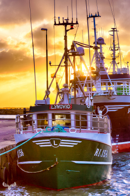 9403 - Sunset fishing boats, Hvide Sande
