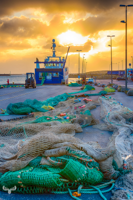 9406 - Hvide Sande harbor - fishing nets