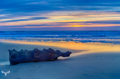 9472 - Driftwood at sunset North Sea beach