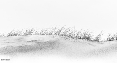 10006 - Søndervig dune hairstyle