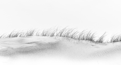 10006 - Søndervig dune hairstyle