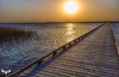 10060 - Hindø wooden bridge